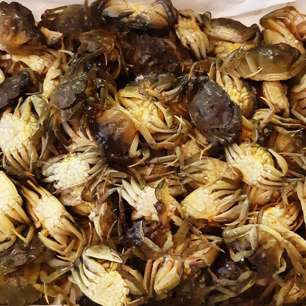 I Gelsi - Ristorante pizzeria a Gallarate - Specialità carne e pesce - Eventi e cerimonie - Pranzi di lavoro